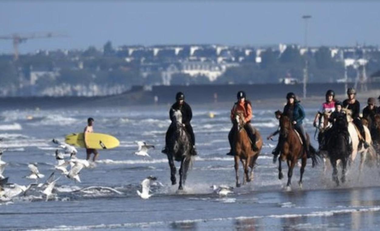 דירות Le Pointeau Les Echappees Belles De L'Ocean מראה חיצוני תמונה